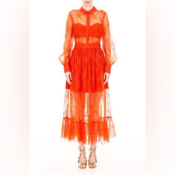 SELF-PORTRAIT Maxi Lace Dress w/ Tags Size: M | US6, UK10 - Picture 10 of 16